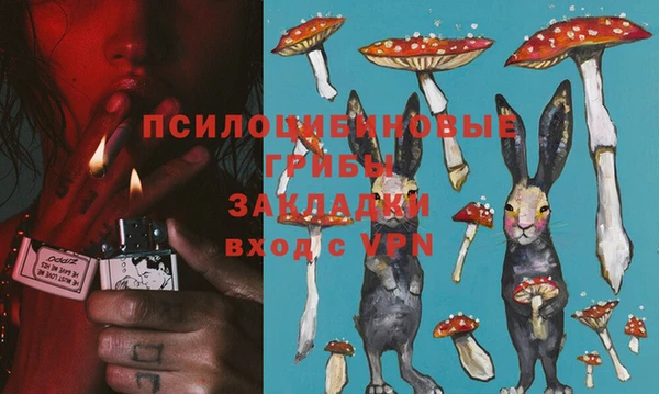 PSILOCYBIN Алзамай