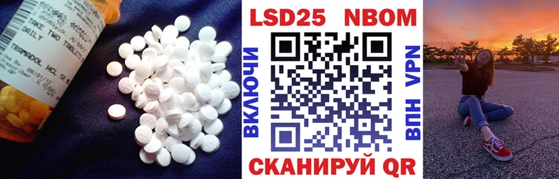 Лсд 25 экстази ecstasy где можно купить Питкяранта