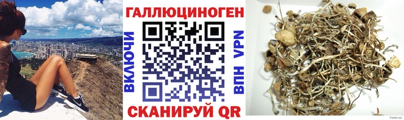 цены   Питкяранта  Галлюциногенные грибы мицелий 